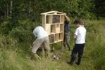 Hotel-insectes 16 ANST