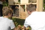 Hotel-insectes 21 ANST