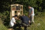 Hotel-insectes 23 ANST