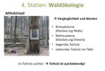 Bild32