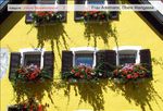 kleiner Blumenschmuck 02 Adelmann 1