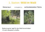Bild17