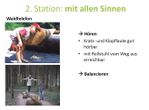 Bild19