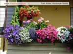kleiner Blumenschmuck 05 Koehler