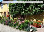großer Blumenschmuck 03 Roehm 1