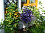 großer Blumenschmuck 05 Hoefler 2