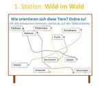 Bild16