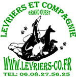 levriers---compagnie-1-