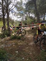 Les-taillades 0264