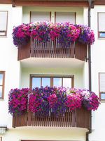 kleiner Blumenschmuck 03 Roehm 1