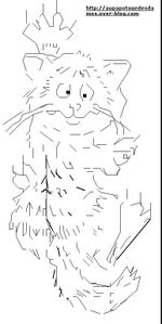 Chat Craintif