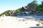 1-IMG_6602.jpg