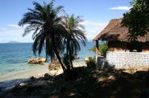 1-IMG_6757.jpg
