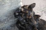 2012-10-02-Nougatine-100.JPG