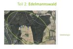 Bild31