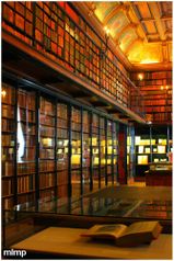 Bibliotheque-de-reve.jpg