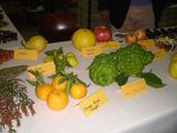 fruits JF Bridou (2)