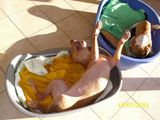 divers-295.jpg