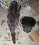 DSCN8107.JPG