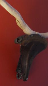 détournement d'objet: tête de taureau