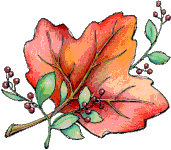 Feuille.gif