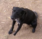 DSCN8435.JPG