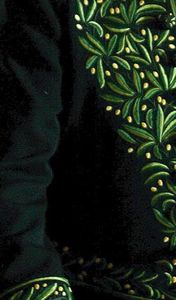 costume-academicien.jpg