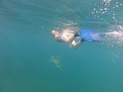 2013 03 - Guadeloupe J8 Go Pro 034 (Copier)