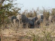 2012 South Africa J34 066