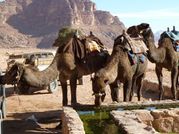 JD J9 - Wadi Rum 104