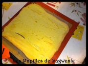 DSCN0241
