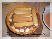 DSCN3206