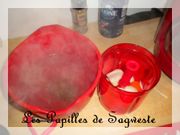 DSCN3869