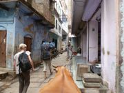 J27 Varanasi 005