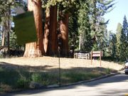 J23 - Sequoia Park 3