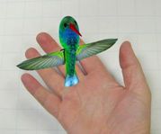 OISEAU MOUCHE