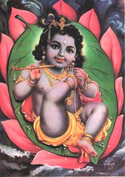 Krishna-bebe-0f08e.jpg