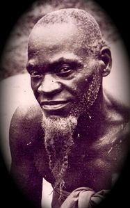chef-village-congo
