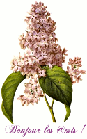 lilas