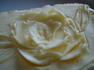 DSC09000