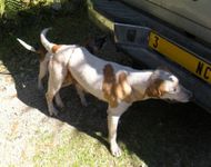 DSCN8236.JPG