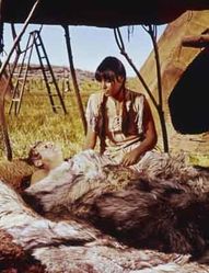Nevada Smith-copie-1