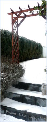 jardin-neige.jpg