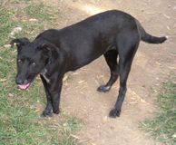 DSCN8441.JPG
