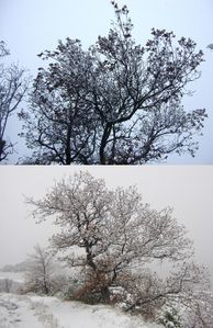 montner sous la neige 66