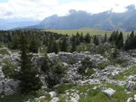 2011-07-15 Leschaux 06
