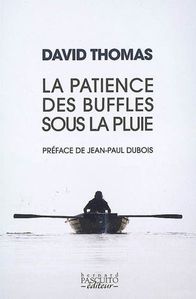 patience-des-buffles-09