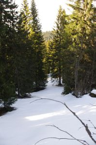 IMGP4438.jpg