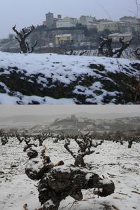 montner sous la neige 39