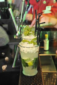BACARDI-Mojito-Lab 3167-e1288717051468